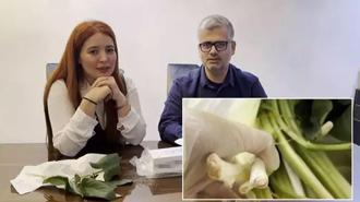 Pazardan aldığı ot, zehir çıktı! İlk lokmada ölümden döndü