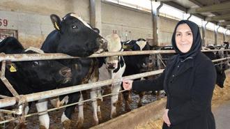 Ev hanımlığından patronluğa: Devlet destek verdi, 900 hayvanın bulunduğu çiftliğin sahibi oldu