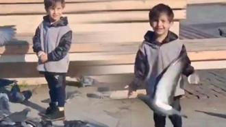 Güvercinleri besledi, can verdi! Baba olay gününü anlattı: Ben aileme nasıl bakacağım?