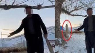 Akılalmaz olay! Çok fazla yediği için köpeğini asarak öldürdü