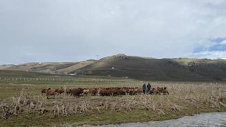 120 bin TL maaşla çalışacak eleman yok! 'Zor ve emek isteyen bir iş, kimse yapmak istemiyor'