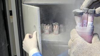 Ölenlerin sırt ve bacaklarından alınıyor! Türkiye'de bu merkezde saklanıyor... Detaylar ortaya çıktı