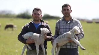 İki kardeşin 1 milyonluk yatırımı servete dönüştü: Çocuklarımla gurur duyuyorum