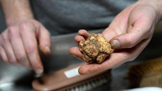 İtalya'dan geldi, 7 ilden topluyor: Kilosu 150 euro... Toprağın altındaki servet