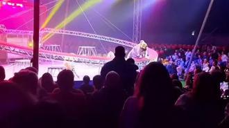 Sirkte dehşet dolu anlar! Bariyer çöktü, kaplan seyircilerin arasına daldı