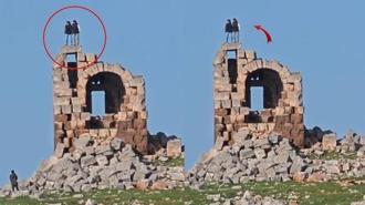 Nemrut’un Tahtı olarak bilinen kalıntılarda zıplayarak halay çektiler! Tepki çeken görüntüler