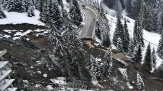 Bulgaristan'da toprak kayması! 60 metrelik yol çöktü, ağaçlar söküldü
