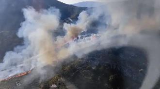 Muğla Marmaris'te orman yangını çıktı