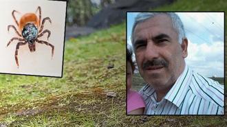 Sivas’ta kene alarmı! İstanbul’dan memleketine gitti: Madımak topladıktan sonra rahatsızlanıp öldü