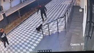Adana'da köpeğin bir kişiye saldırması güvenlik kamerasında