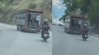 Canlarını hiçe sayıp kamyonun kasasına tutundular! Tehlikeli anlar kamerada