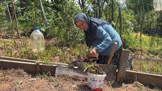 Sosyal medyada gezerken hayatının fırsatını yakaladı: Özel izin aldı, köyüne döndü! Fiyatı altınla yarışıyor