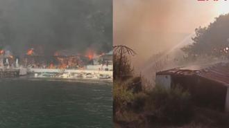 İstanbul Büyükada'da yangın paniği! Viranbağ Plajı alevlere teslim oldu