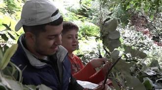 Kilosu bu yıl tam 3 bin lira oldu! Hasat eden paraya para demiyor: 40 yıldır bu işi yapıyorum