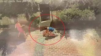 Sitede pitbull dehşeti! Küçük kızın gözleri önünde köpeğini ısırdı