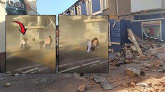 Kolombiya'da 7.4 büyüklüğünde şiddetli deprem! Tsunami uyarısı verildi