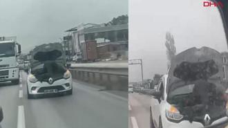 Otomobilin motorunun üzerinde seyahat etti