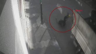 Hareket halindeki kamyonetin kasasından düştü