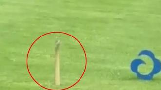 Golf deliğinden çıkan hayrete düşürdü! Gördüğüne inanamadı