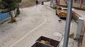 Avcılar'da üzerine bastığı kapak açılınca rögara düşen kadın yaralandı