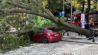 Şişli Harbiye’de korkutan anlar! Şiddetli rüzgar ağacı otomobilin üzerine devirdi