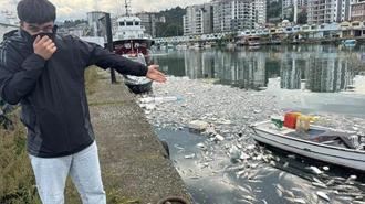 Palamut skandalı! Vatandaşlar isyan etti: 'Kokudan evde yatamıyoruz!'
