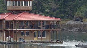 Herkesin ilgi odağı yüzen evler hakkında her şey…