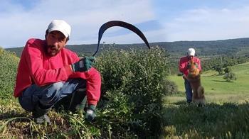 'Sıfır sermayeyle yapılacak çok şey var!' Şehirdeki hesap köyde tutmadı