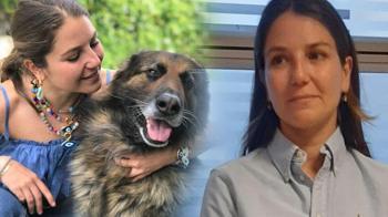 Köpek Nero’yu silahla öldürmüştü! Takipsizlik kararı sonrası köpeğin sahibini şikayet etti