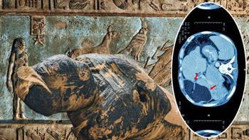 3 bin 500 yıl önce Mısır topraklarında yayıldı! Uzmanlar asırlık soruyu yanıtladı