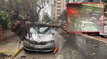 Şoke eden olay! İstanbul'da rüzgar nedeniyle bir kadının üzerine ağaç devrildi