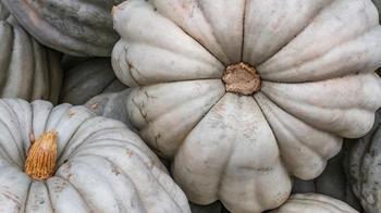 Bal kabağı böyleyse hemen almaktan vazgeçin! Lokum gibi tatlı için bal kabağı böyle olmalıymış