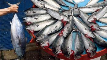 Tüm vitamin depolarını fullüyor! Bu balığı yiyenler hastalık yüzü görmeyecek