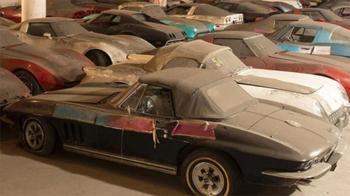 Hepsi çürümeye terkedilmiş halde bulundu!