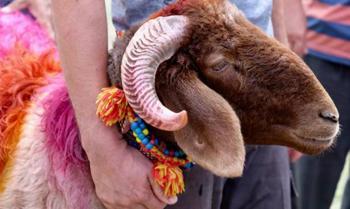 Kurban Bayramı ne zaman? 2024 Kurban Bayramı ayın kaçında, kaç gün kaldı? Kurban Bayramı tatili kaç gün olacak?