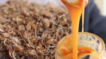 Kazanda kaynatılan taş, tatlı oldu! Karanlık odada konuşmadan yapılıyor: 'Yokluğun tadı'