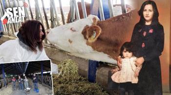 Annesini kaybetti, 36'sında çiftlik sahibi oldu! 1.5 ton süt üretiyor: 'Sen anlamazsın dediler'