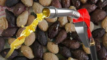 Uçak uçurup evleri ısıtıyor! Türkiye'de benzine rakip olur: Yüzde 25'i zeytin çekirdeğinden