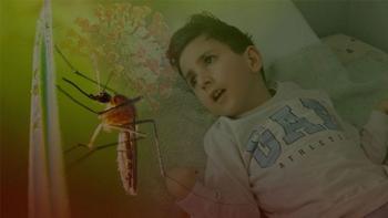 Uyurken ısıran sinek nasıl felç bıraktı? Kuşlardan alıp taşımış: Aşısı da ilacı da yok