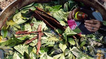 Ayahuasca çayı, Amerikalı bir turistin ölümüne yol açtı!