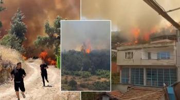 Birçok ilde orman yangınları! Sakarya yangını Bilecik'e sıçradı