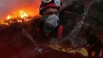 Orman yangınlarına götüren süreç! Çamdan başkası yaşamaz: 'Uçak gelip gider, şerit açın'