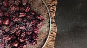 Üzüm kurusunu evde yapmak çok kolay! Fırında da oluyormuş