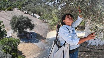 1316 yıllık ihtişam: Bizim için çok kıymetli