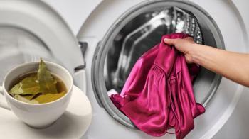 Ne soda ne sirke, koku bitiren yaprak taktiği! Çamaşır makinesi mise dönüyor