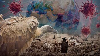 Akbabalar gitti, salgın geldi! Leşlerden yayılan felaket: Zehirli etle tek tek yok etmişiz