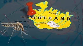 Hiç görülmez deniyordu! 3 sivrisinek ülkede panik yarattı: 'Her yeri sarabilirler'