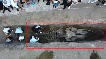 Çıkarılması bir hafta sürdü, tam 16 metre! Böylesi ilk kez yaşanıyor