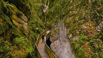 'Dünyanın cenneti'ne giden yol: Türkiye'de duyan akın ediyor