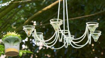 Eski avizeyi atmayın! Bahçeniz için kuşlarla dolu yemliğe dönüşsün